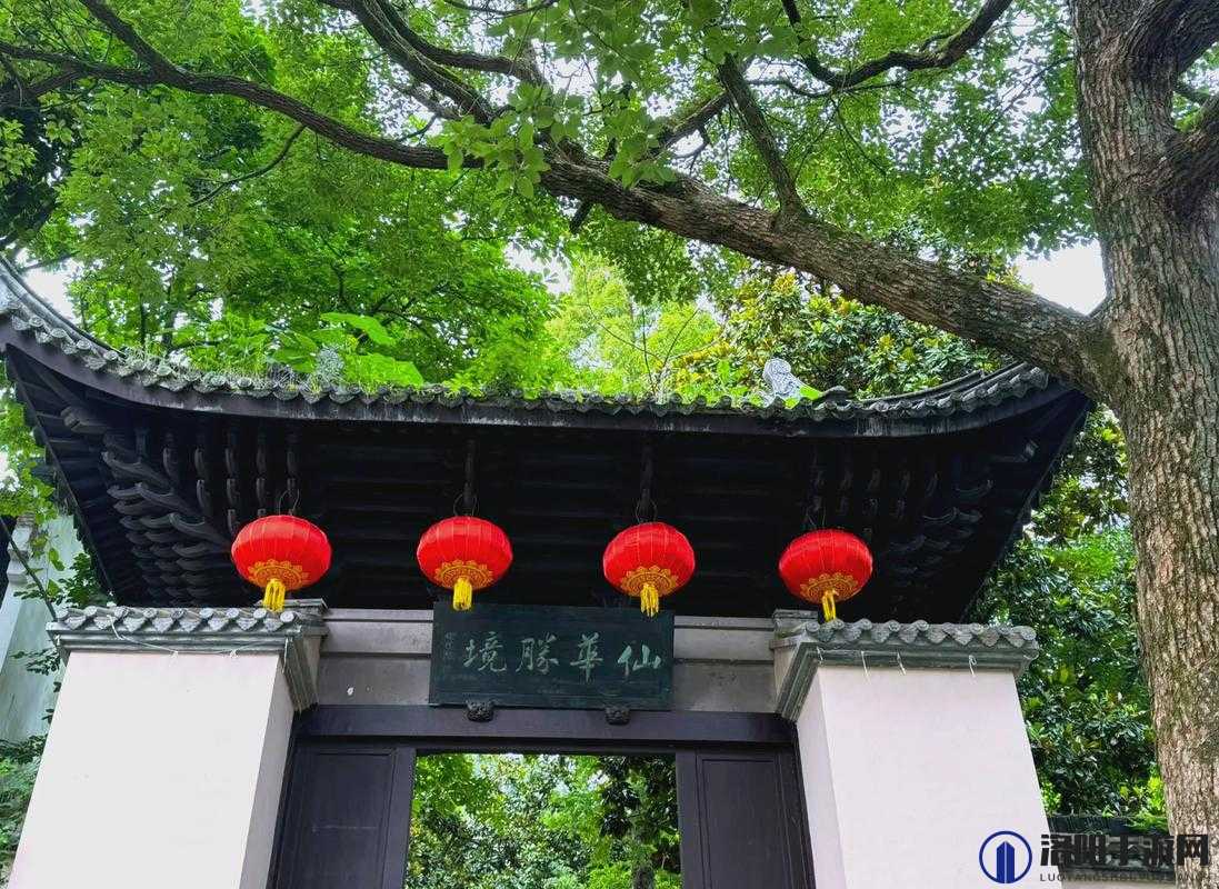魔能全手杖的收集位置详细汇总 涵盖所有可能出现的地点